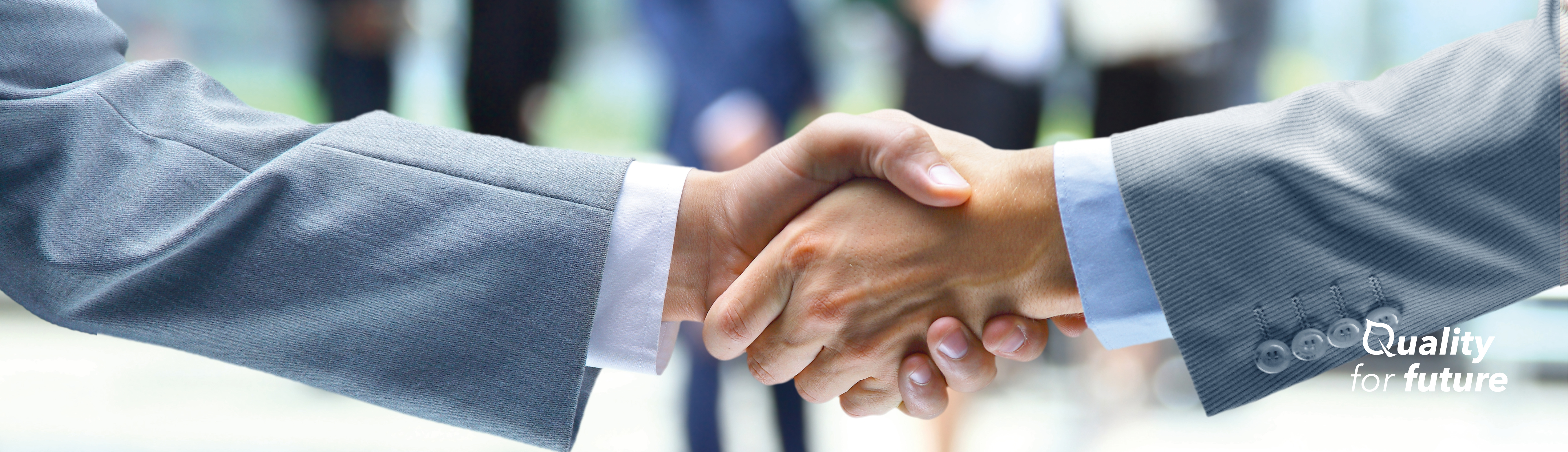 Conditions of Purchase an Sale