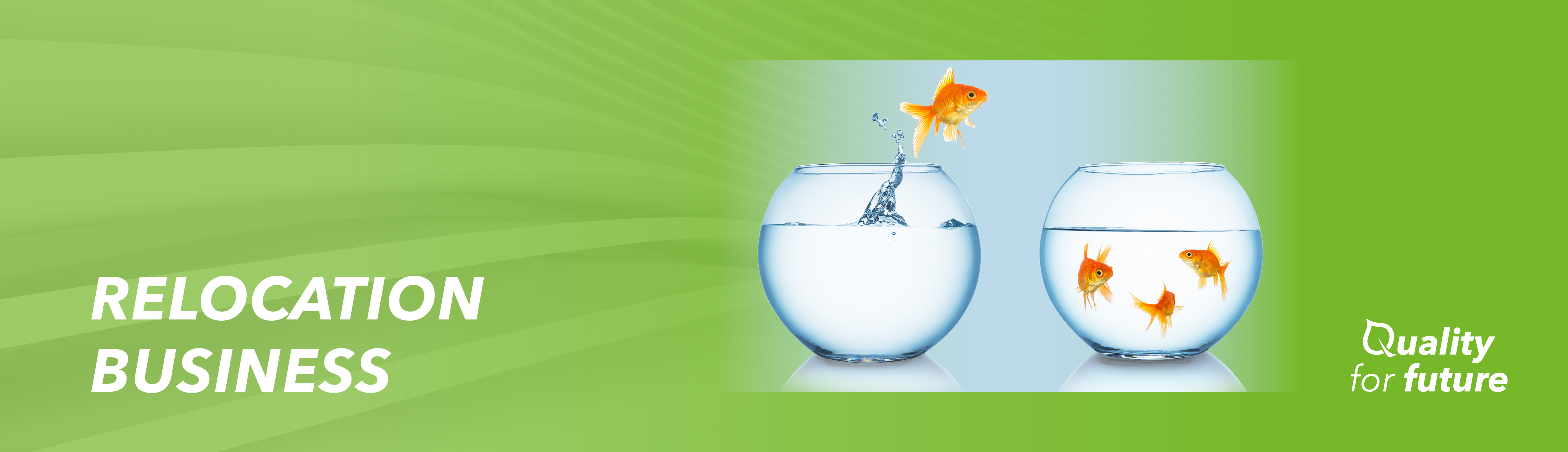 2022_07_Banner green_EN6 Relocation Business - VNT Automotive